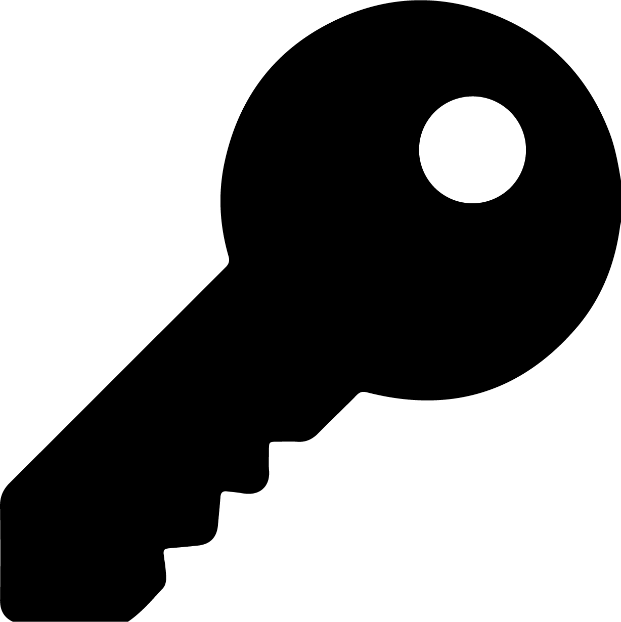 Key icon